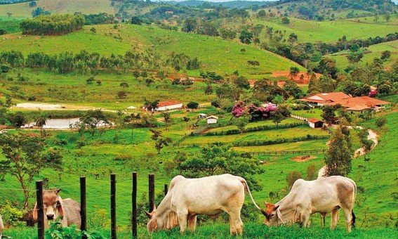 Resultado de imagem para Imóvel Rural