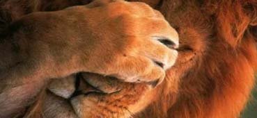 Medida Provisória beneficia entidades oncólogicas