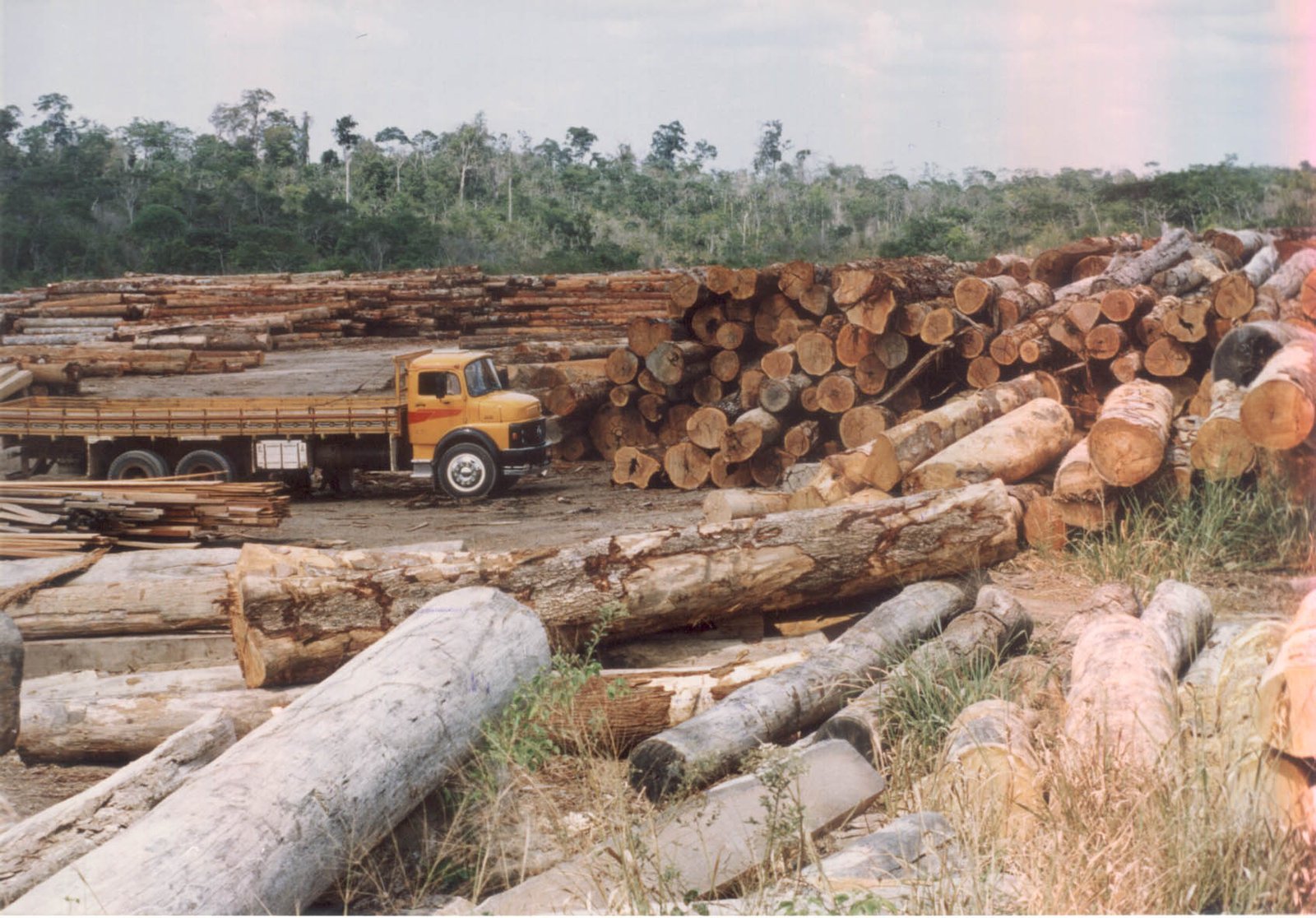 Ministério Público Federal denuncia INCRA por desmatamento