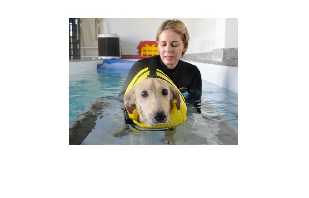 Mel faz fisioterapia para se adaptar a cadeira de rodas