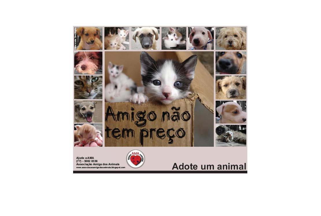 Amigo não tem preço: Adote um animal