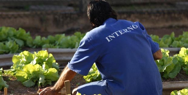 Programa qualifica apenados e internos do sistema prisional