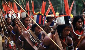 Todo dia era, todo dia passou….