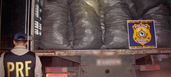 Polícia Federal deflagra Operação Grandis