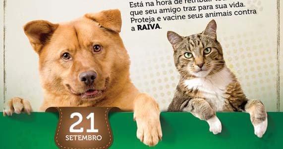Campanha de vacinação contra raiva animal