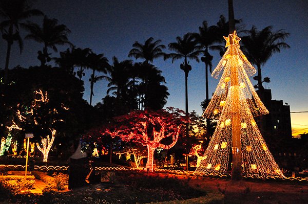 Aberto processo de editais relativos ao Natal da Cidade 2013