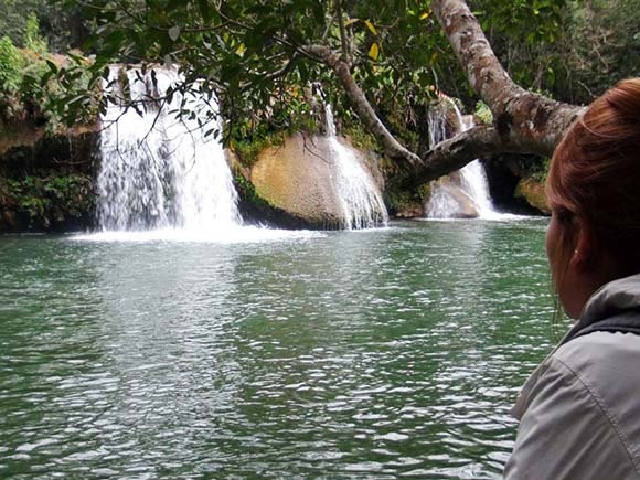 Bonito é (realmente) bonito!