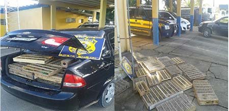 Polícia Rodoviária Federal apreende pássaros silvestres