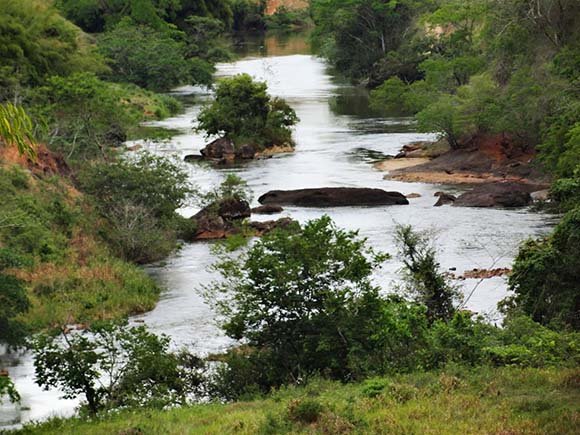 Curso de Fiscalização Ambiental