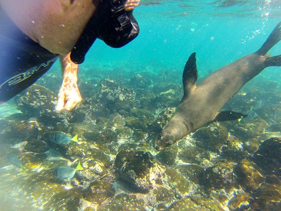 As ilhas encantadas de Galápagos