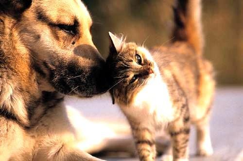 CDL entrega doações para entidades filantrópicas