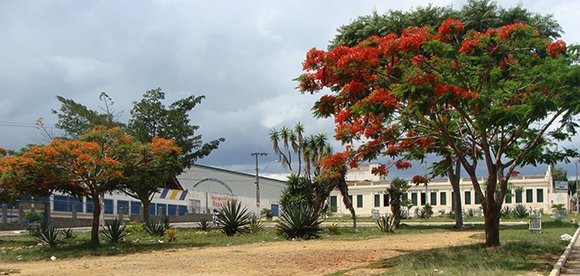 Festival Regional de Quadrilhas: domingo, 29