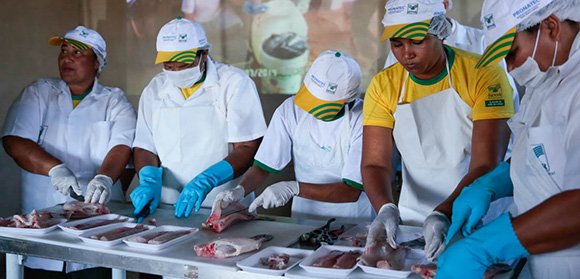 Pronatec do SENAR contribui para permanência no campo