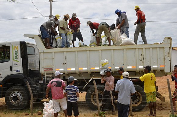 200 mil palmas para agricultores