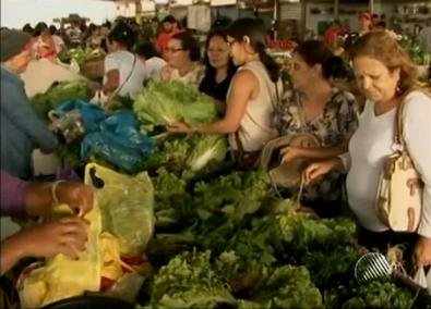 Conselho de Segurança Alimentar realiza eleição