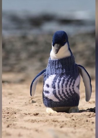 Vestindo os pinguins