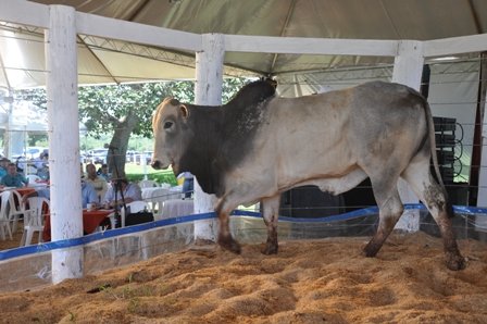 COOPMAC lança Expoconquista