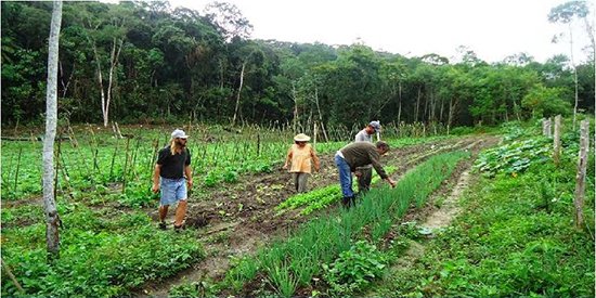 Regularização fundiária de agricultores