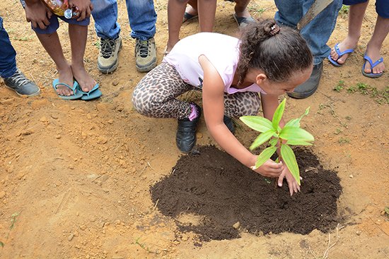 Ação promove plantio de árvores na Serra do Periperi