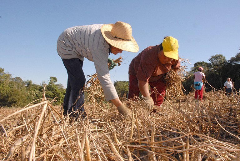 Assegurada aposentadoria especial para trabalhador rural