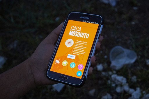 Bahia lança aplicativo para mapear Aedes aegypti