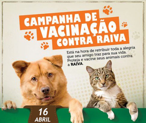 Vacinação animal: sábado, 16, dia “D’
