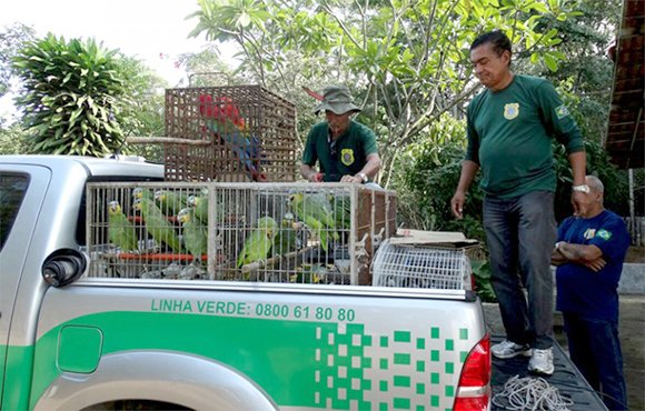 CETAS Conquista recebe animais de vários estados