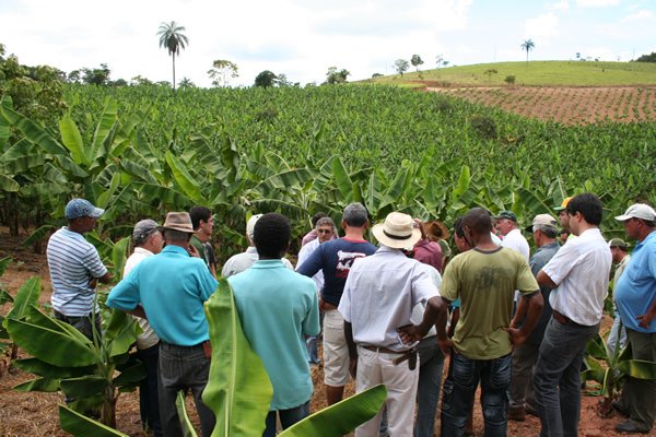 Senado aprova renegociação de dívidas de produtores rurais