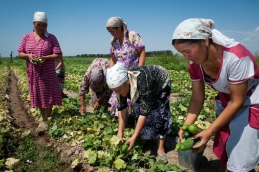 IFBA divulga Chamada Pública: aquisição de gêneros alimentícios