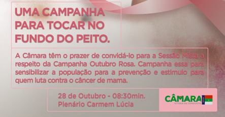 Câmara: sessão debate “Campanha Outubro Rosa”
