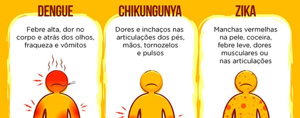 Ministério convoca sociedade para combate à Aedes aegypti