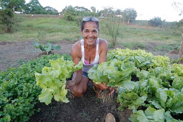 Estado oferece assistência técnica a 40 mil agricultores familiares