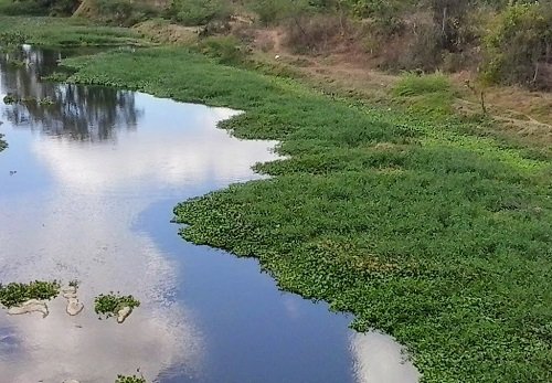 Audiência Pública discute construção da barragem do Catolé