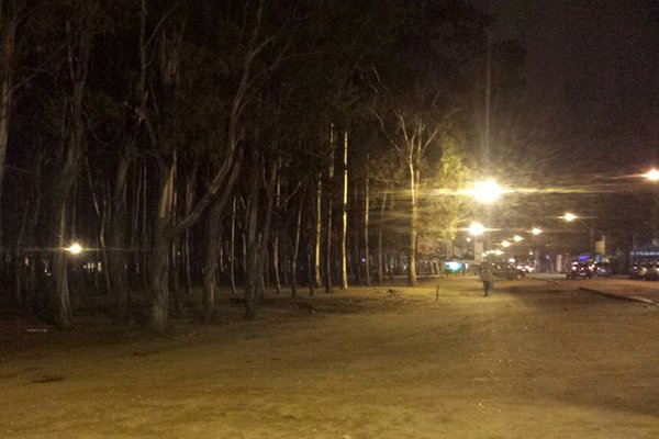 Bosque da Paquera recebe iluminação