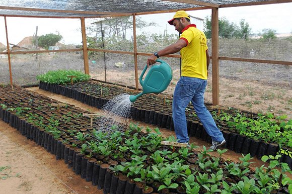 BB: Produtores rurais tem descontos na liquidação de dívidas