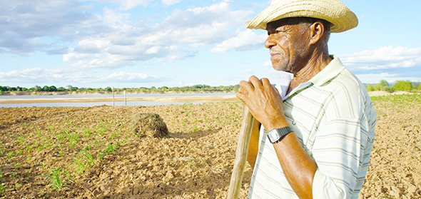 Bahia lidera renegociações de dívidas rurais no Nordeste