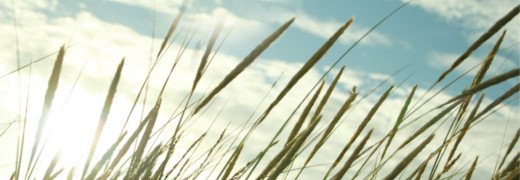 E porque é sexta-feira, 07 de julho…