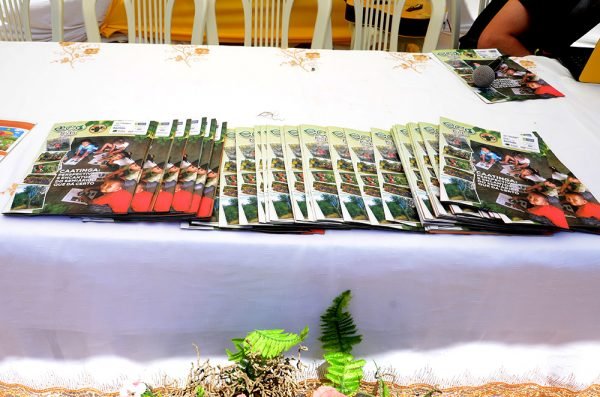 Alunos da zona rural produzem jornal sobre o semiárido