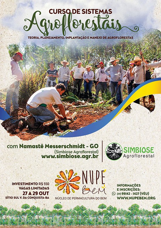 Curso de Sistemas Agroflorestais ensina produzir sem insumos químicos