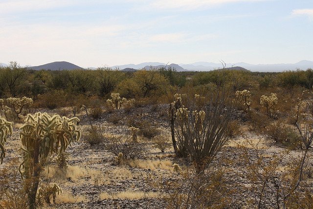 Risco de desertificação no Sudoeste é tema de estudo na UESB