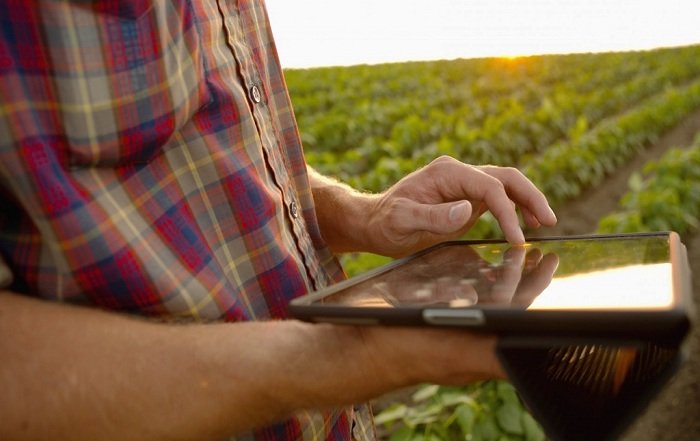 Cursos e capacitações do Sebrae melhoram qualidade de vida do produtor rural