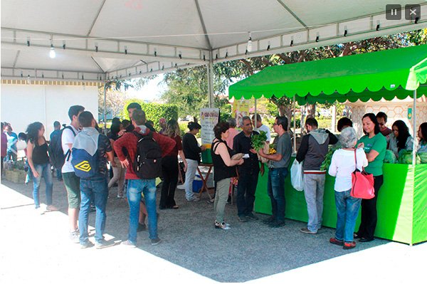 Feira Agroecológica na UESB incentiva consumo de produtos orgânicos