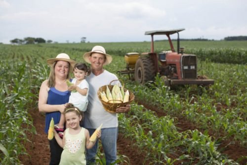 IFBA abre edital para  compra de gêneros alimentícios