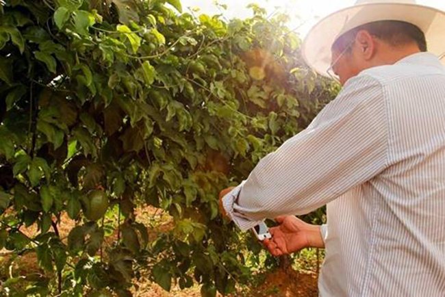 Graduação em Processos gerenciais cria oportunidade para inovação