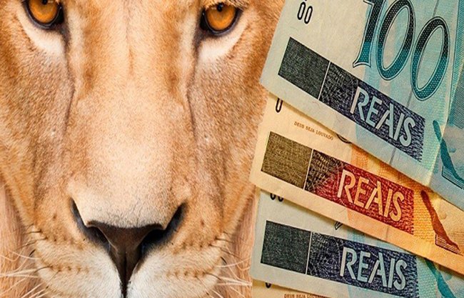 Restituição do Imposto de Renda 2020 será paga mais cedo informa Receita