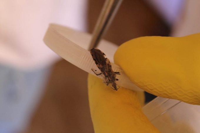 Atenção Básica de Saúde recebe treinamento para identificar doenças