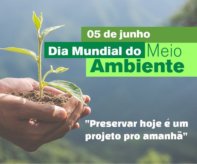 05 de junho é o Dia Mundial do Meio Ambiente: muitas demandas e discussões