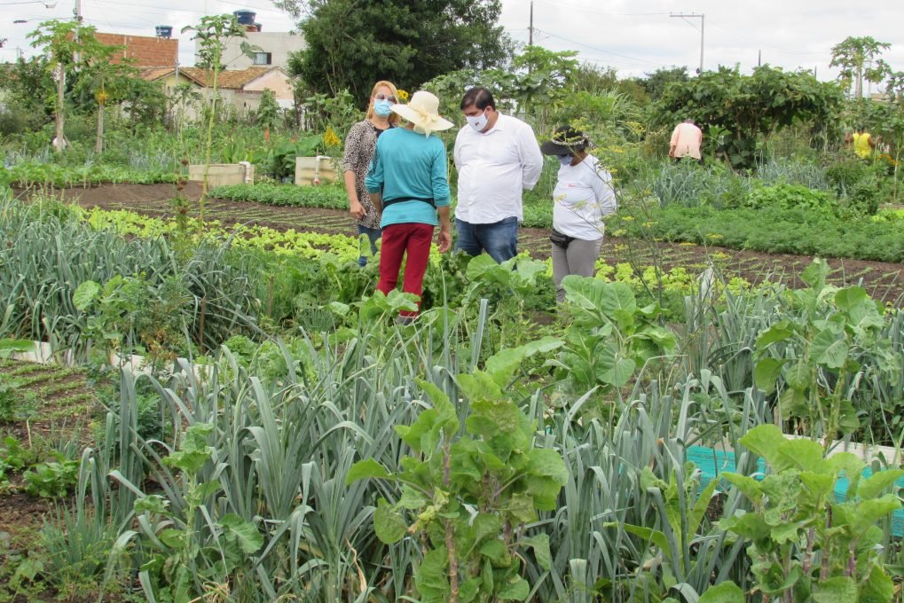 Hortas comunitárias são realidades em Vitória da Conquista