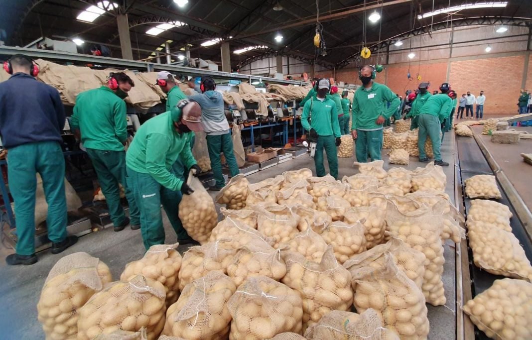 Em maio Bahia lidera geração de empregos no Nordeste: mais de 10 mil postos criados