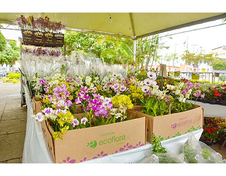 13ª Feira de Flores de Holambra na Praça Orlando Leite movimenta Conquista